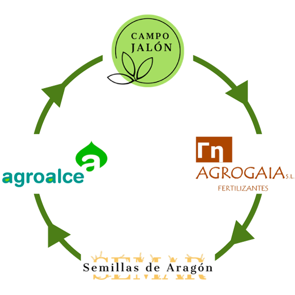 Grupo de empresas