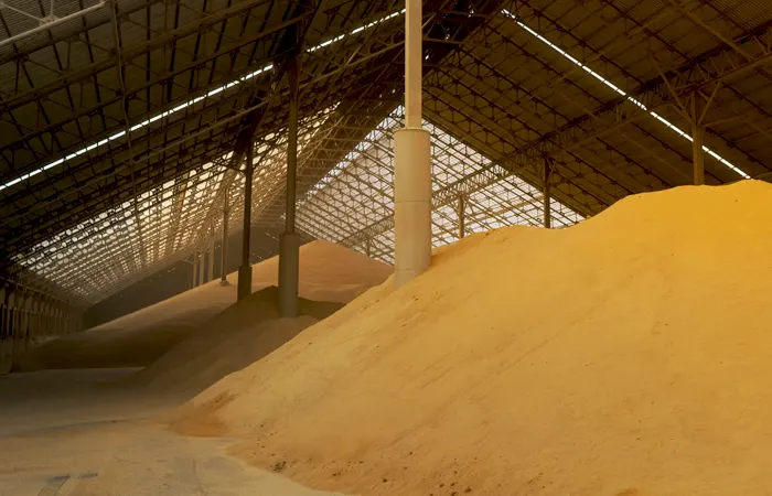 Almacen de cereal lleno de grano