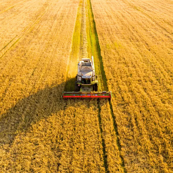 Cultivo con máquina agrícola