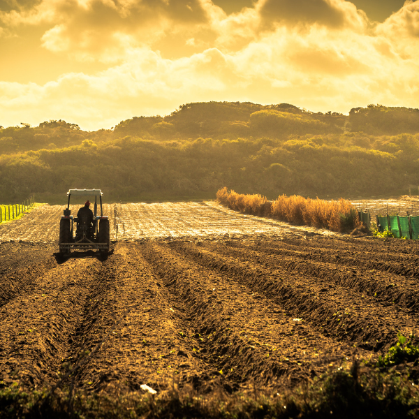 foto2-agricultores-cooperativas.png Cultivo con tractor al fondo