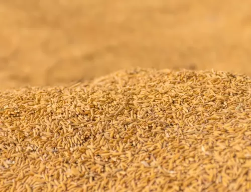 Almacenes de cereales
