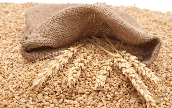 venta de cereales al por mayor